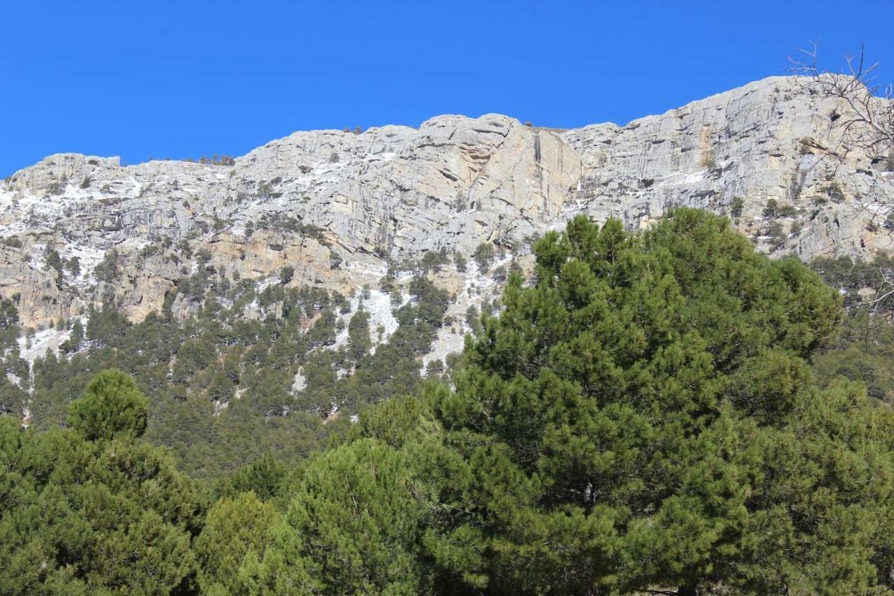 El Almendro De Fuentes Nuevas Villa กาสตริล ภายนอก รูปภาพ